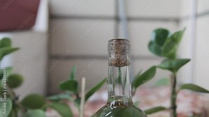 Open the bottle with wine corkscrew. Open the corkscrew with a bottle of white wine, close-up.