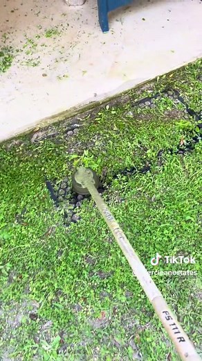 Expert Lawn Care Techniques for Weed Eating