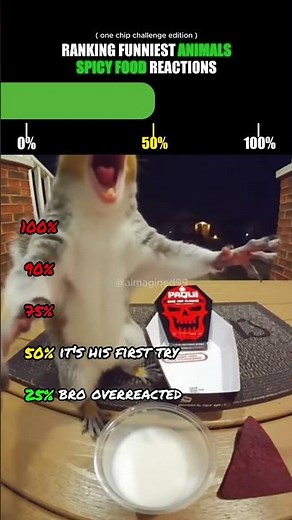 Ranking Funniest Animals Spicy Food Reactions🤣 (one chip challenge edition)