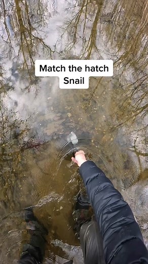 Fishing with Scuds: Mimicking Snails in the Water