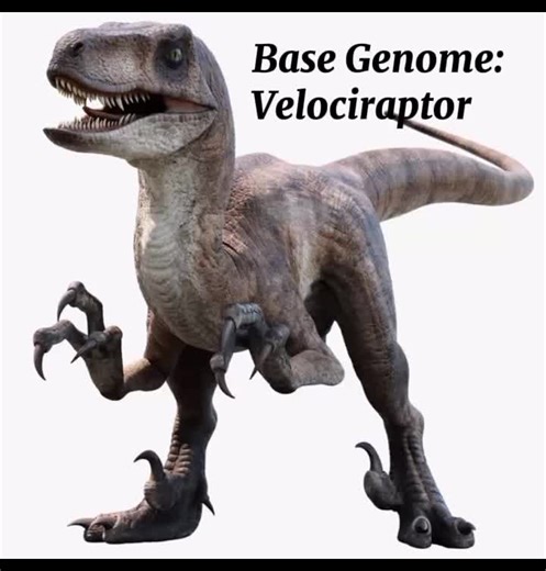 Ben Pincus (@ben_fitzgerald_pincus16)’s videos with original sound - Ben Pincus