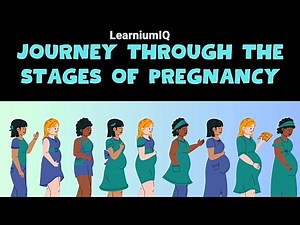 How a BABY GROWS! Amazing Stages of PREGNANCY Explained.