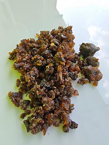 Pure Natural Guggul Resin | Commiphora Mukul | Ayurvedic Gum Organic Indian Herb | Vrindavan Expo - Etsy