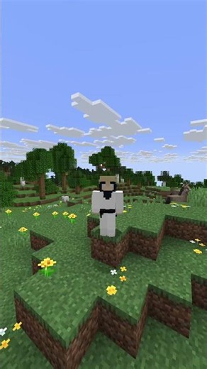 This FOV Trick Breaks Minecraft #minecraft #shorts