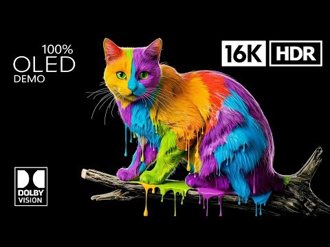 BEST OLED TEST DEMO | 16K HDR 240 FPS | Dolby Vision