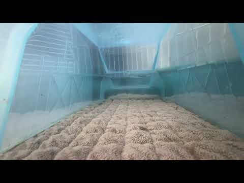 5 things assignment—Multimedia Lab