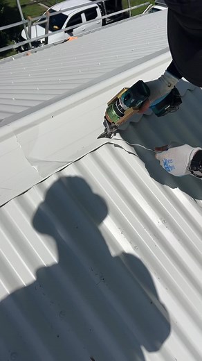 Alex Albrecht on TikTok