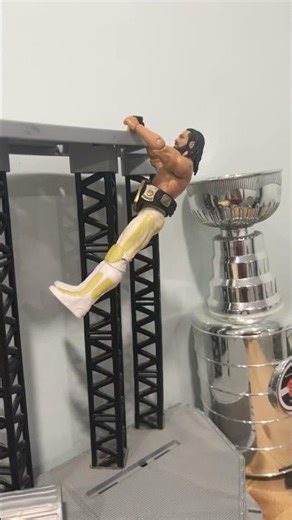 Shield brawl￼ #wwe #wrestling