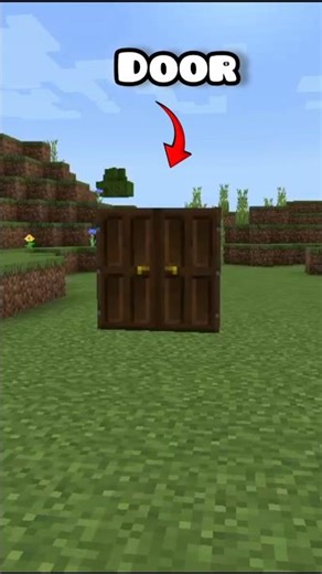 hidden base in Minecraft doors 🚪#minecraft #shorts