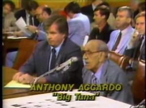 4.7K views · 97 reactions | In his own words: TONY ACCARDO testified...