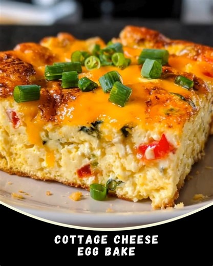 143K views · 661 reactions | Cottage Cheese Egg Bake 燎 Warm, cheesy,...