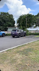 Here’s another look at this unique color, thoughts? | 4Runner Lifestyle