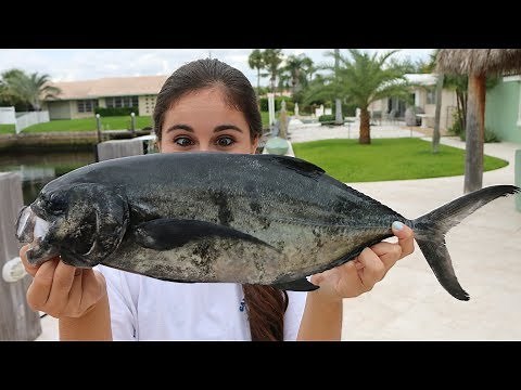 Would YOU Eat It??? TRASH Fish Taste Test! Blue Runner - Catch, Clean Cook!!!