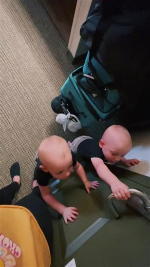 4.8K views · 57 reactions | @Great Wolf Lodge hotel review #greatwolflodge #hotelreview #twins #familytrip @ohlookthemusgroves #5722 | Brooke Bond | Facebook