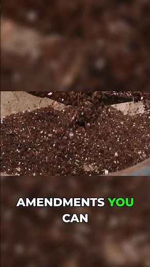 What Builds Great Soil? Organic Matter! #soilmanagement #Building soil