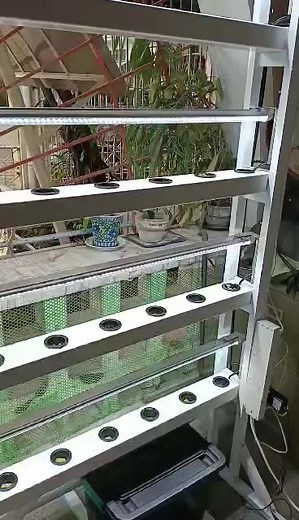 32 Holes NFT System without Roofing, vertical indoor set up #hydroponicsgardensupply | Hydroponics Garden Supply