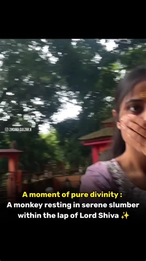 ज़िन्दगी गुलज़ार है ! on Instagram: "A profoundly moving scene unfolded within the temple walls as a monkey was discovered peacefully resting in Lord Shiva's lap. This rare display of tranquility felt like a divine intersection of nature and faith, leaving onlookers in silent awe. For many, it was a powerful reminder of the sanctuary found in devotion, filling the air with an overwhelming sense of spiritual warmth and peace. Credit : @smita_dimple_234"