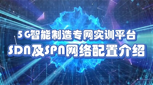 10）网络配置-SDN SPN