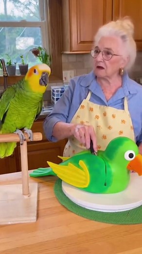 5.1K views · 86 reactions | Funny bird angry grandma cutting parrot cake  | K1 Froocoo | Facebook