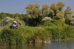 River Test - Chalkstream Fly Fishing - Aardvark Mcleod