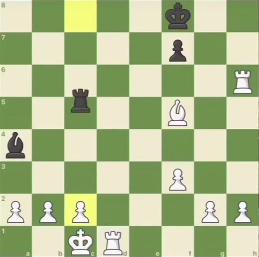 Rook Strategies in Chess Endgames