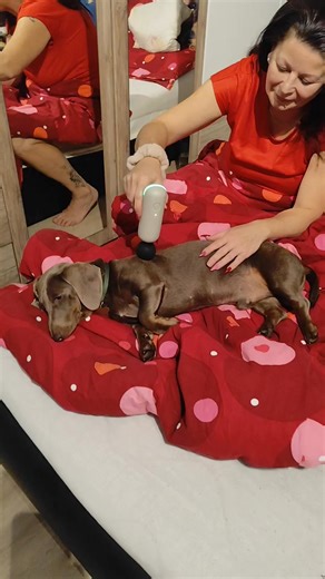 István Mester on Reels