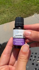 Powerful DIY Bug Spray That Actually Works on Plants