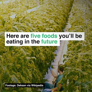 1.9M views · 25K reactions | New-trition. Learn more about the future of food: https://wef.ch/2JH0KGM | World Economic Forum | Facebook