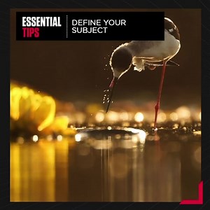 1.1K views · 60 reactions | Nature’s secret revealed!  Empower your lenses with Canon and get ready to capture the extraordinary using these jaw-dropping tips.  #CANwithCanon #EssentialTips #PhotographyTips #NaturePhotography #Tips&Tricks #EmpowerYourLens #GetStarted #CanonIndia #CanonPhotography #Canon #DelightingYouAlways #BestofPhotography #Landscape #Seascape #Wilderness | CANON India | Facebook