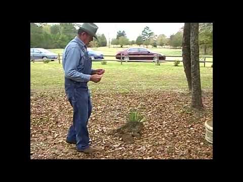 Dowsing for unmarked gravesites at Smith Cemetery