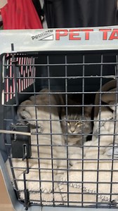 Paws N' Hooves Veterinary Services on Reels