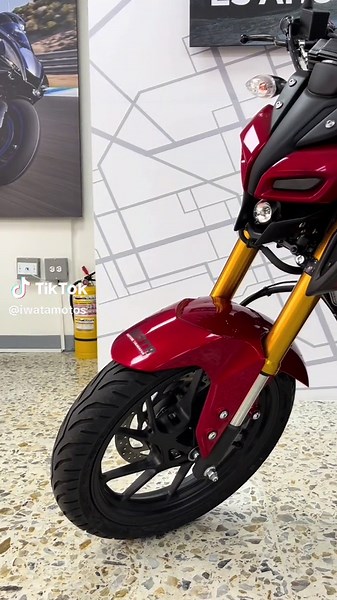 Yamaha MT-15 Red Line: Tuning, Colors, and Roaring Engine Sounds
