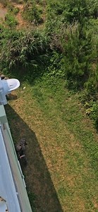 I M A G I N E you're in your urban hide site... you take your shot, accomplish your mission... now you're compromised and being hunted down. Enemy forces are maneuvering in positions where they believe the shots came from. You break down... remaining quiet, maintaining security, moving quickly, preparing for a fight to egress and reach your extraction point. THIS... is what culminated today for these MEN. The night prior they moved inand established a hide site with eyes on the objective. Upon d