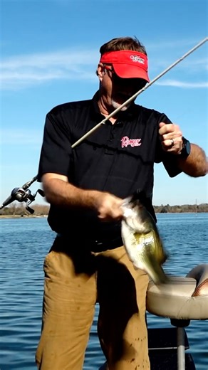 PERFECT CONDITIONS FOR A JIG When weather, wind, sunshine, and the fish set up just right...a flipping bite on a jig sure is hard to beat! #BassProShops #RangerBoats #FishGarmin #SunlineAmerica #SPRO #SPROUSA #SPROFishing #CJFlip #Fishing #BassFishing #Jig #JigFishing | Fisherman's Handbook