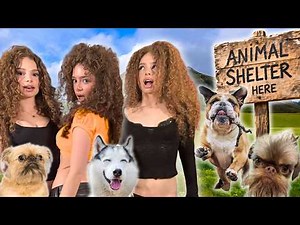 Kalogeras Sisters VOLUNTEER AT AN ANIMAL SHELTER!