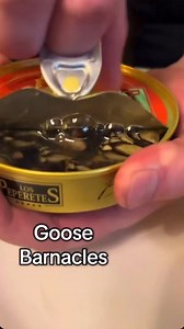 1.7M views · 17K reactions | Goose Barnacles from @thetinnedfishmarket An interesting and delicious tin. I think I was eating them the wrong way though. We look forward to seeing some of you at The Tinned Fish Market shop in Borough Market on Saturday 18th October. We will be there from 12 o’clock. | Tinned Fish Reviews | Facebook