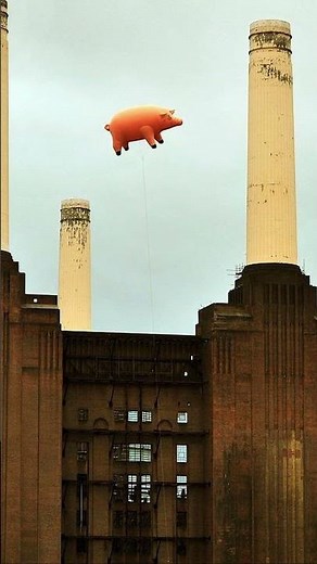 Animals de Pink Floyd escondió a Orwell en su álbum más oscuro #pinkfloyd #animals #fyp