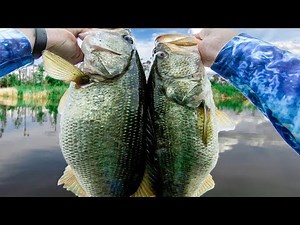 RECORD BREAKING day of BIG BASS FISHING at Lake Seminole!