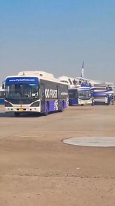 If you have experience driving buses or minibuses, an airport shuttle driver job can offer growth and great opportunities. | Will Byrne