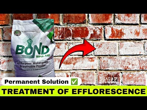 How to Stop Wall Dampness & Efflorescence Permanently | Waterproof Plaster Explained