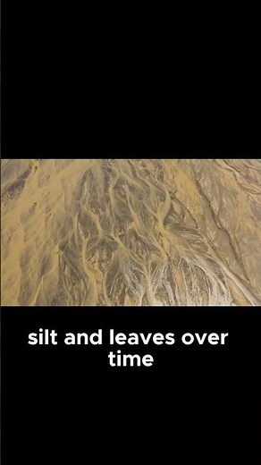 Sedimentology - Stratigraphy_ Deciphering Earth's History One Layer at a Time