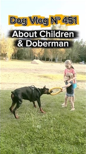 Dog Vlog about Children (girls) & Doberman (bitch) #dogvlog #doberman #dogtraining