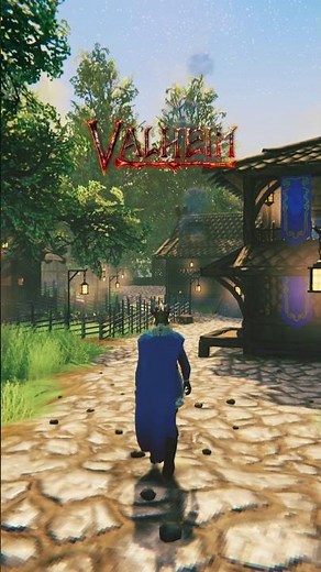 Big and Organised Starter House | Valheim