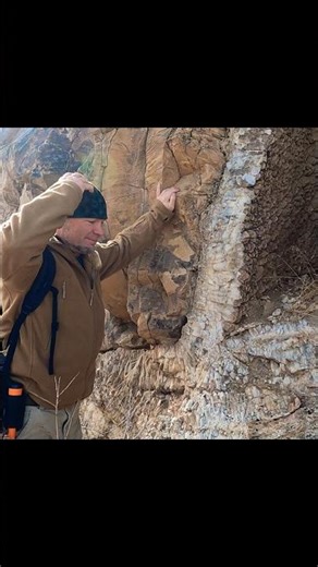 Amazing Vein of Crystals #shorts