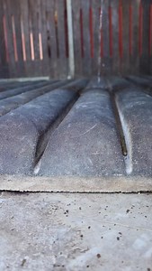 🔥 Fini les journées entières à curer les box ! 💰 Avec les tapis de box Physiogom, l’urine s’évacue instantanément grâce aux gouttières intégrées. Le sol reste sec, sans absorber. 👉 Résultat : plus besoin de litière à tout va. 🟢 Vous économisez du temps 🟢 Vous économisez de l’argent 🟢 Votre cheval reste au sec et confortable 📍 Et bientôt : une deuxième vidéo pour vous montrer comment retirer les crottins en quelques secondes. 🔗 Voir les tapis Physiogom https://www.fautrastuces.com/fr/mate