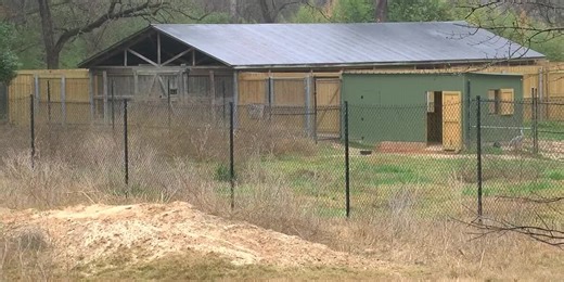 Caldwell Zoo ramps up cold weather care