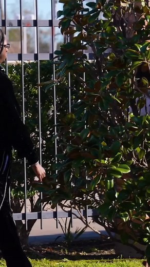 Look at the end 😋 #fyp #golddigger #golddiggerprank #viralvideo