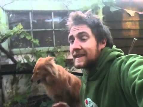 Top tip on growing grape vine on pergola