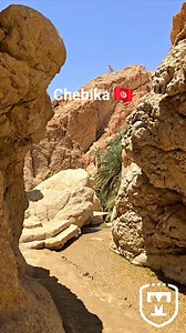 Chebika 🇹🇳 Tunisia My paradise on earth 🙏🌴❤️ #Chebika #Oasis #Oase #Tunisia #Tozeur #Douz #Tunisie #TUN #myTunisia #Tunesien #naturelovers #nature #paradise #paradiseonearth #placetobe #placestovisit #wow #wonderful #amazing #Tounsi #ToniMengesTunisia #love #energy #thankyouforyoursupport #thankyouforwatchingmyreels #thankful #humble #happynewyear2026 #HappyNewYear #naturevibes | Toni Menges - Travel Ambassador & Tester