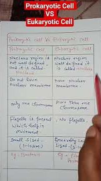 Prokaryotic Cell vs eukaryotic cells #biophysicszone #cellthebuildingblockoflife
